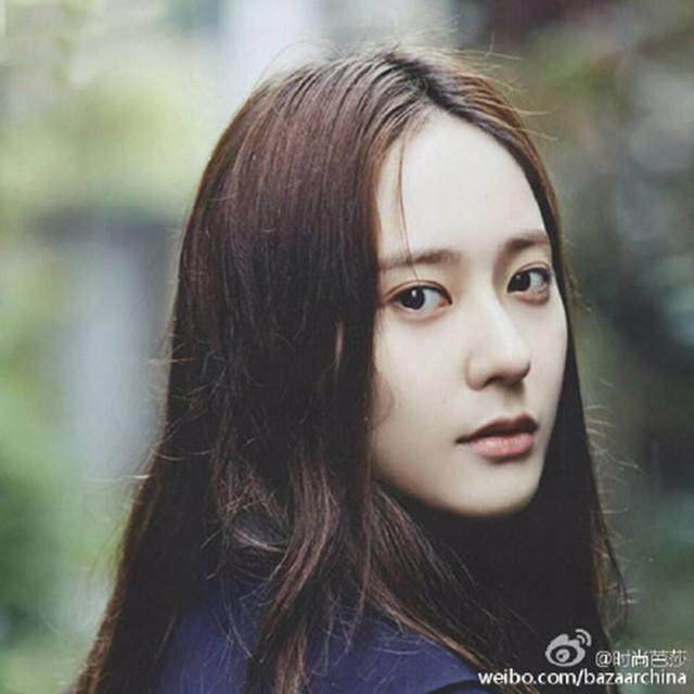 子弹与玫瑰